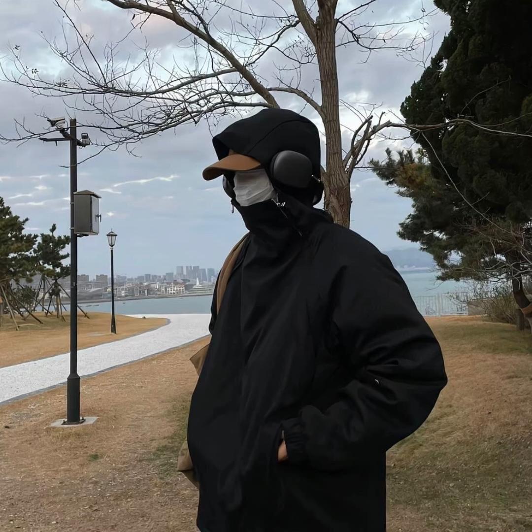 简辞