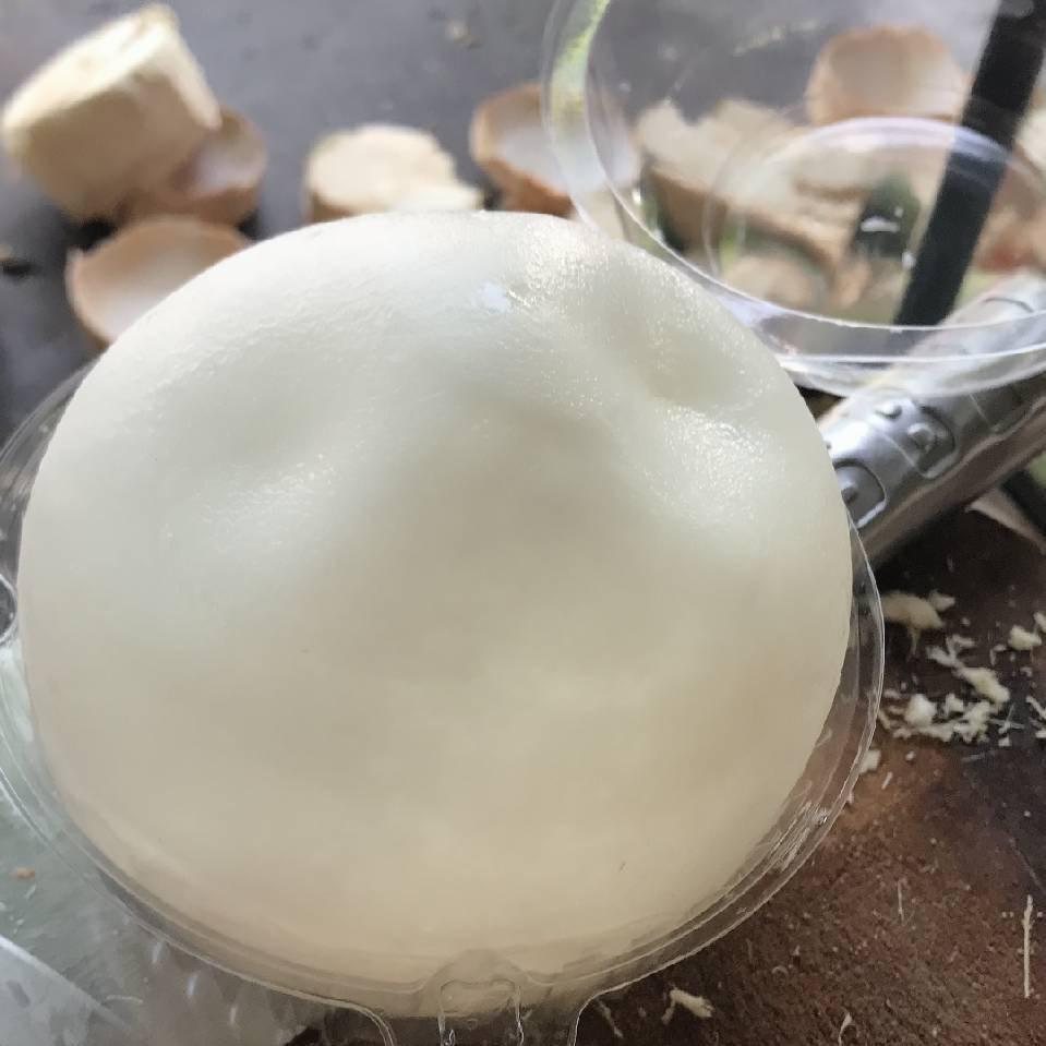 椰子壹家