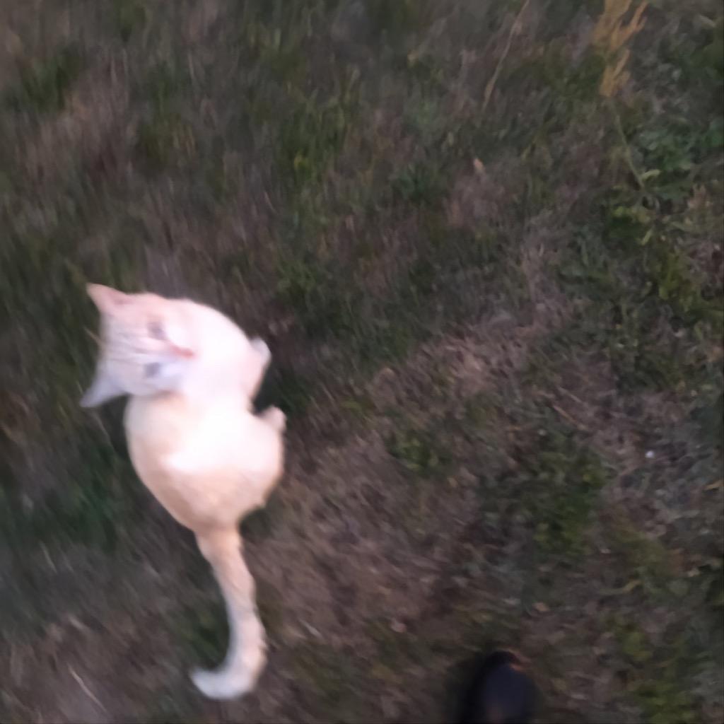 I’m