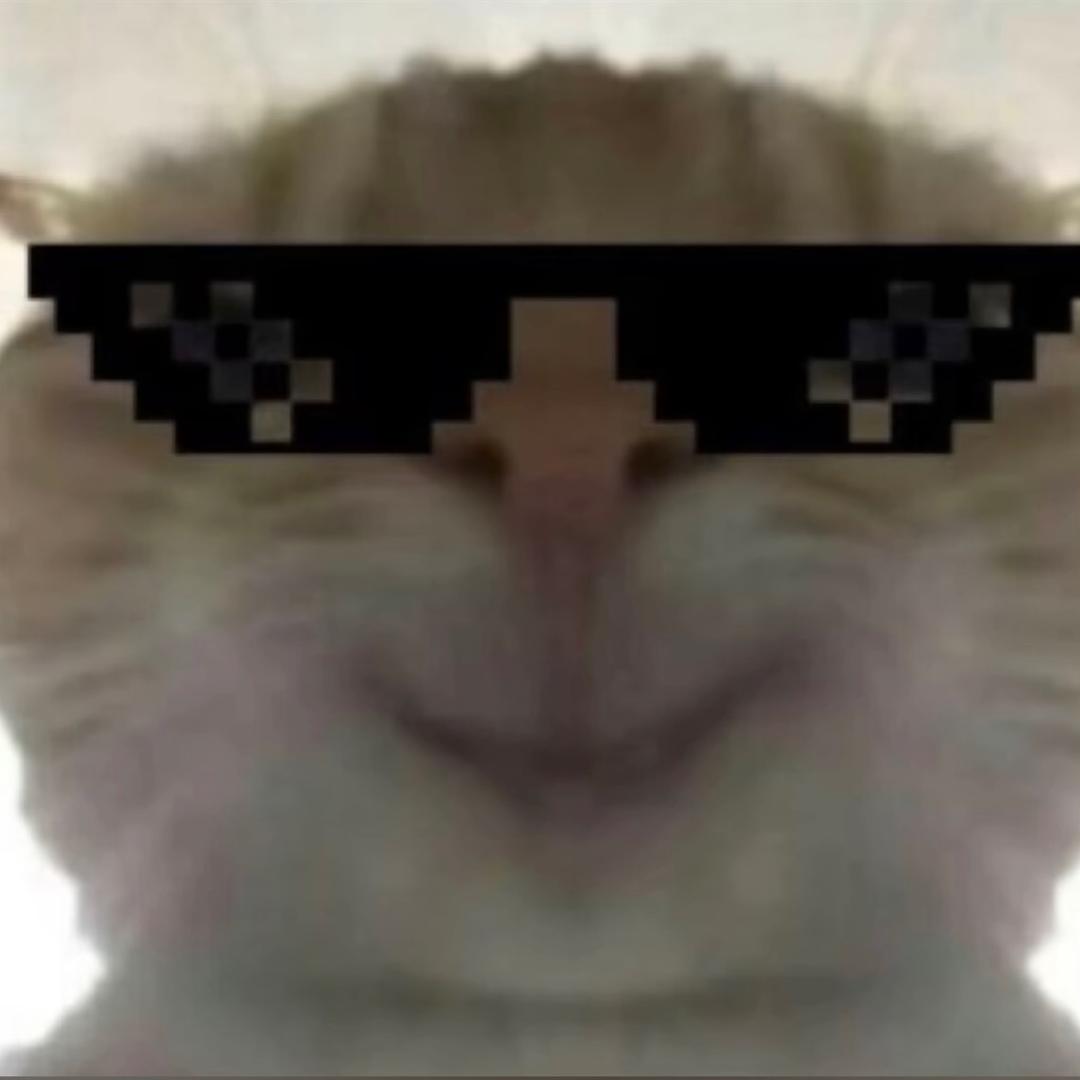 弱小屯豚鼠（三角洲行动）