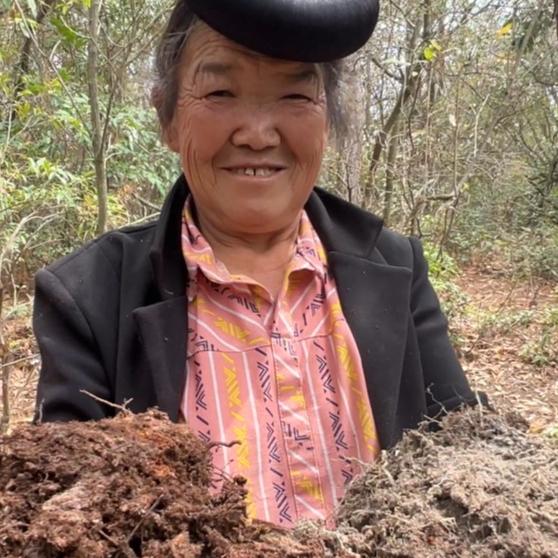 松源花卉臻选阁