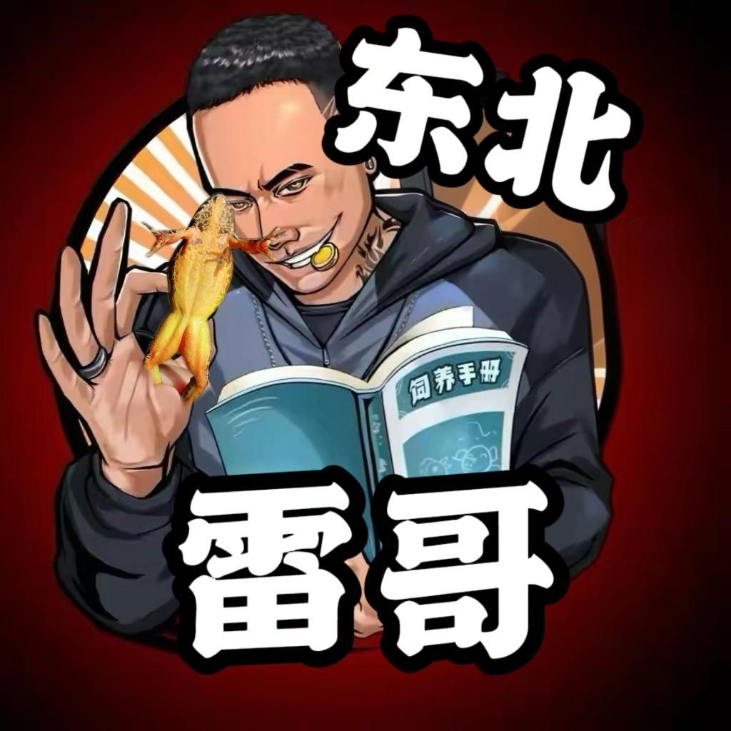 东北雷哥