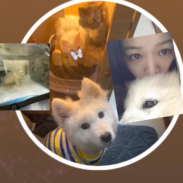 欢迎来到我的世界