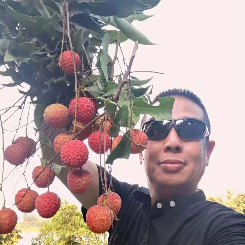 气贯长虹^