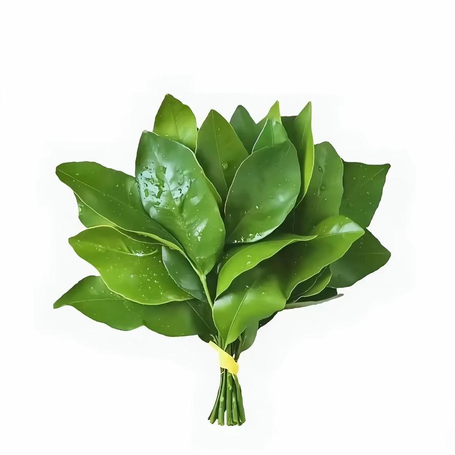 Xuaan.