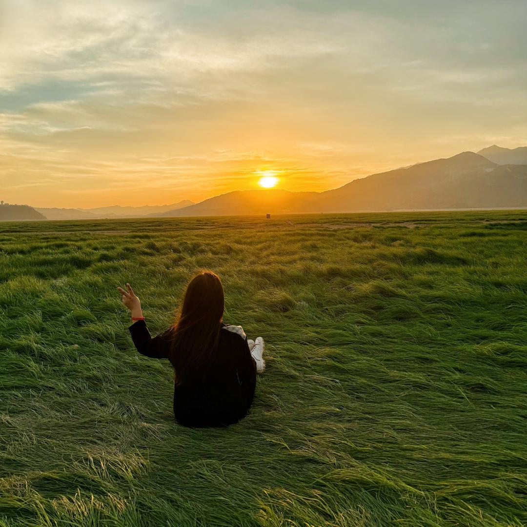 二月的熊猫mini骑士🚗
