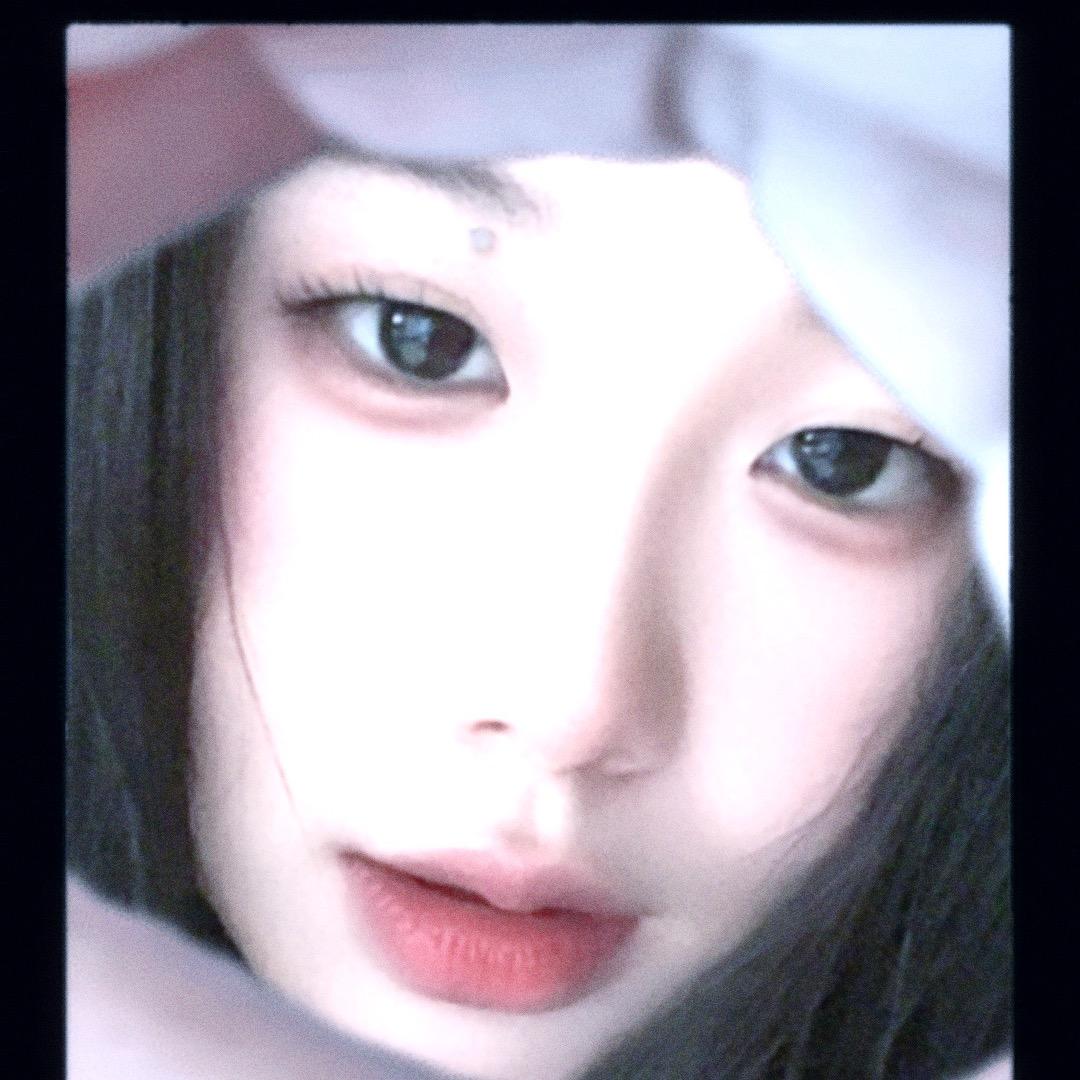 癞蛤蟆可以吃天鹅肉吗