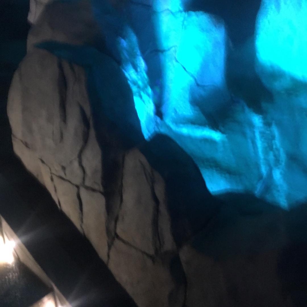 会飞的浪