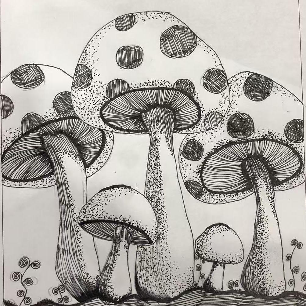 名字太长就不打了