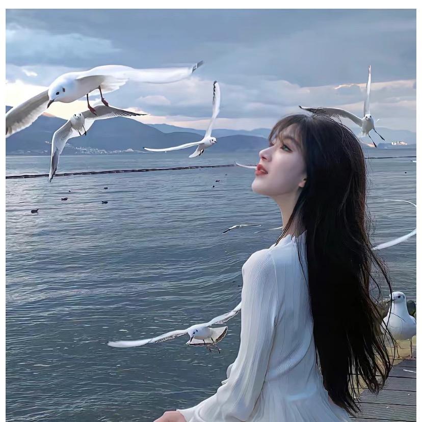 嘻嘻嘻嘻&