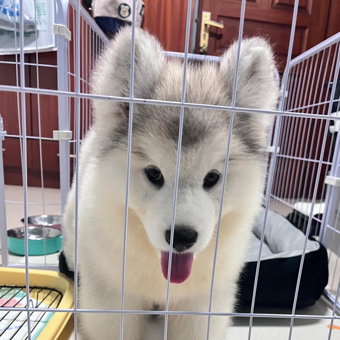 妮奶奶和lucky妹