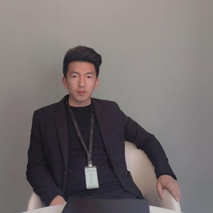 宝丰蒲公英装饰大春