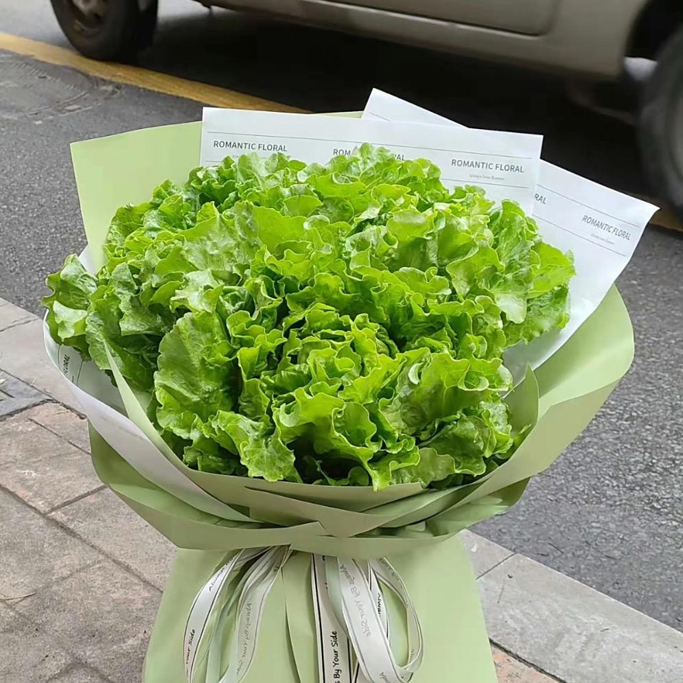 ❤️生菜有道