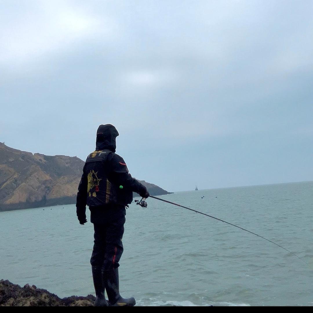 海鸥🎣