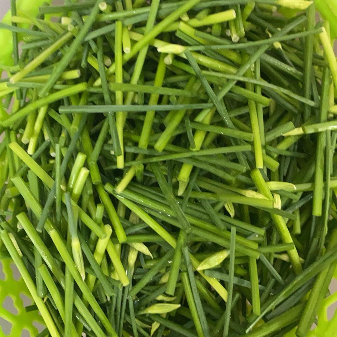 乐乐爱分享