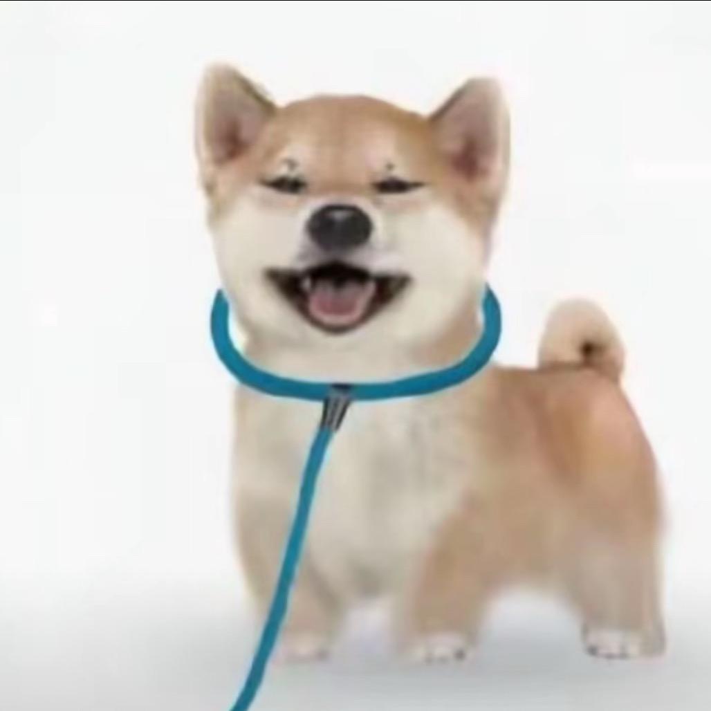 大招还差一颗豆