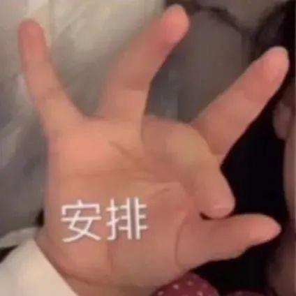 宝娃