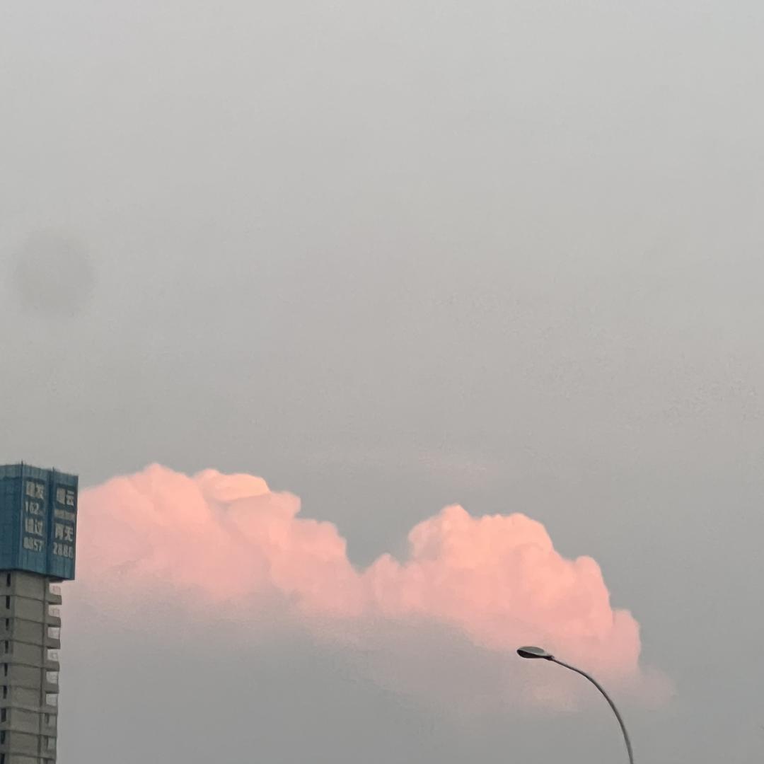 安安家的童装