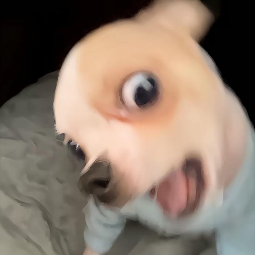 .cc.