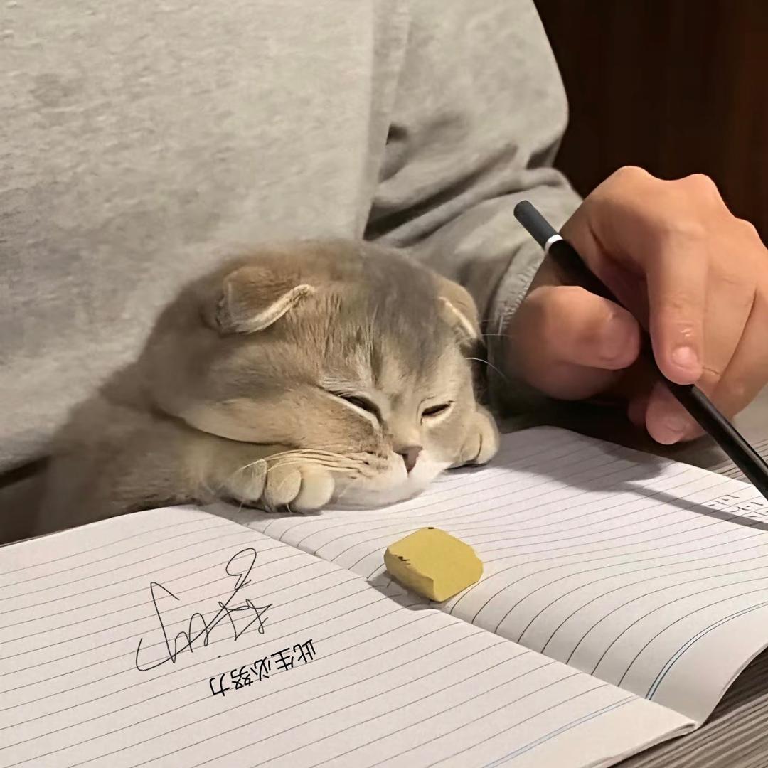 小可、