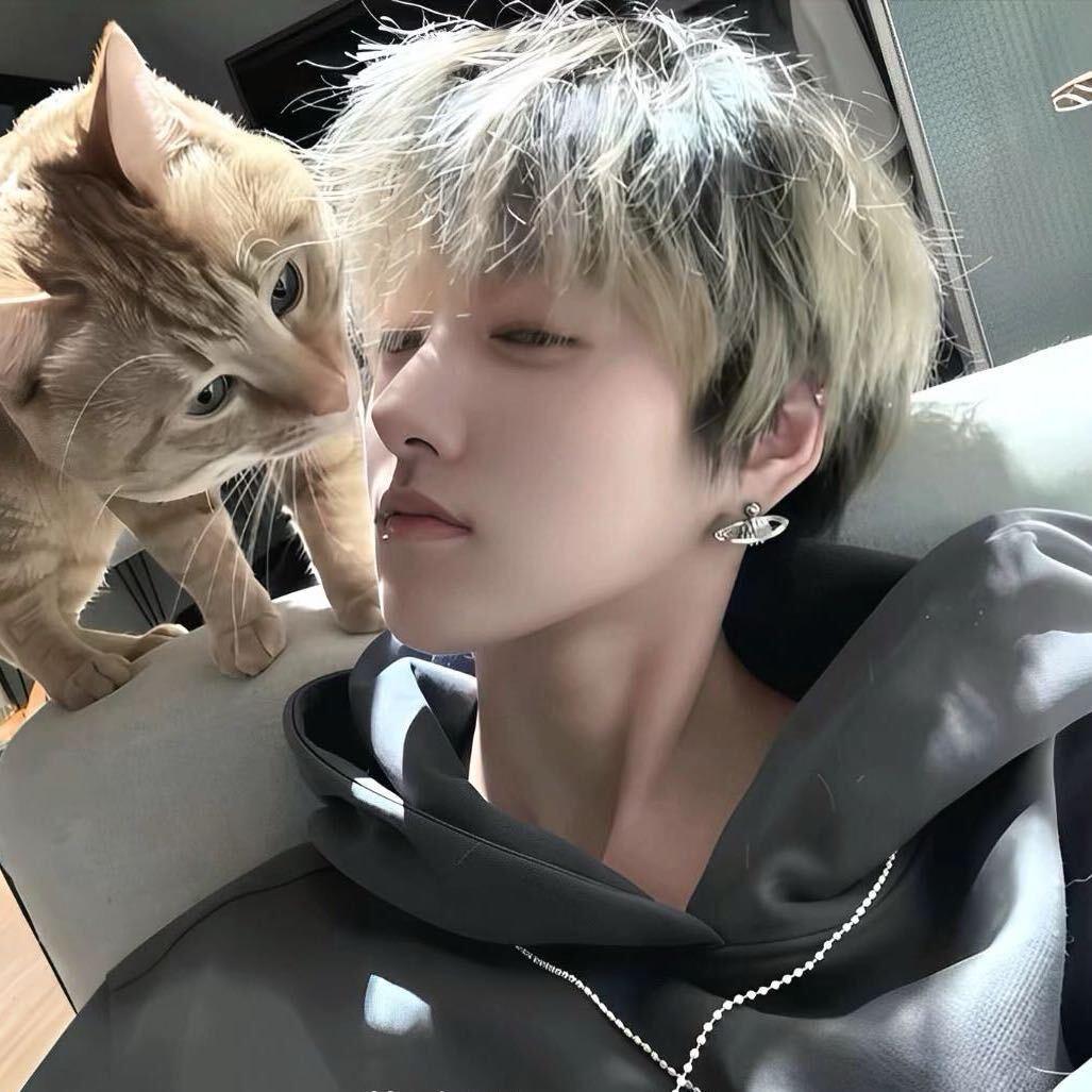 追妻先追丈母娘