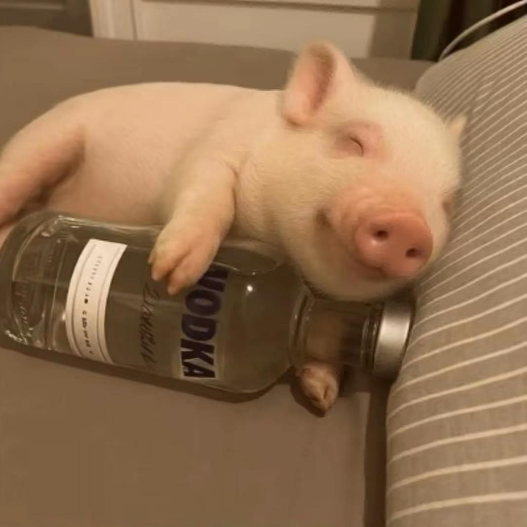 我睡觉的时候不困