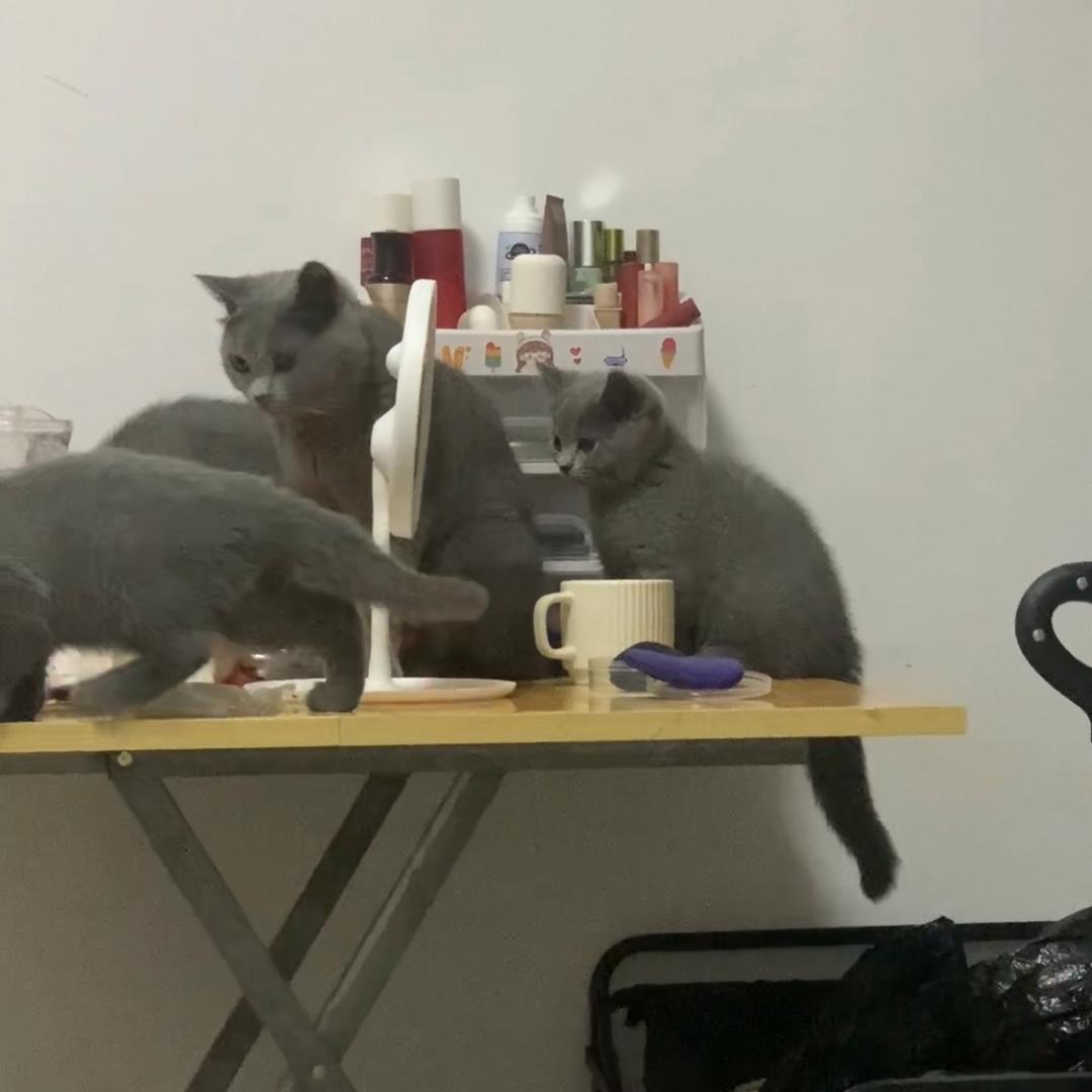 北京注册公司找张张