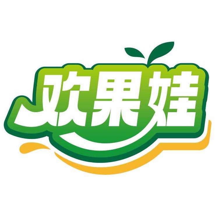 欢果娃蜜饯果干
