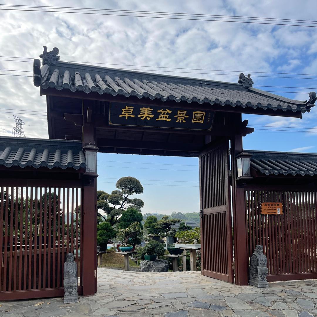 卓美盆景（深圳）