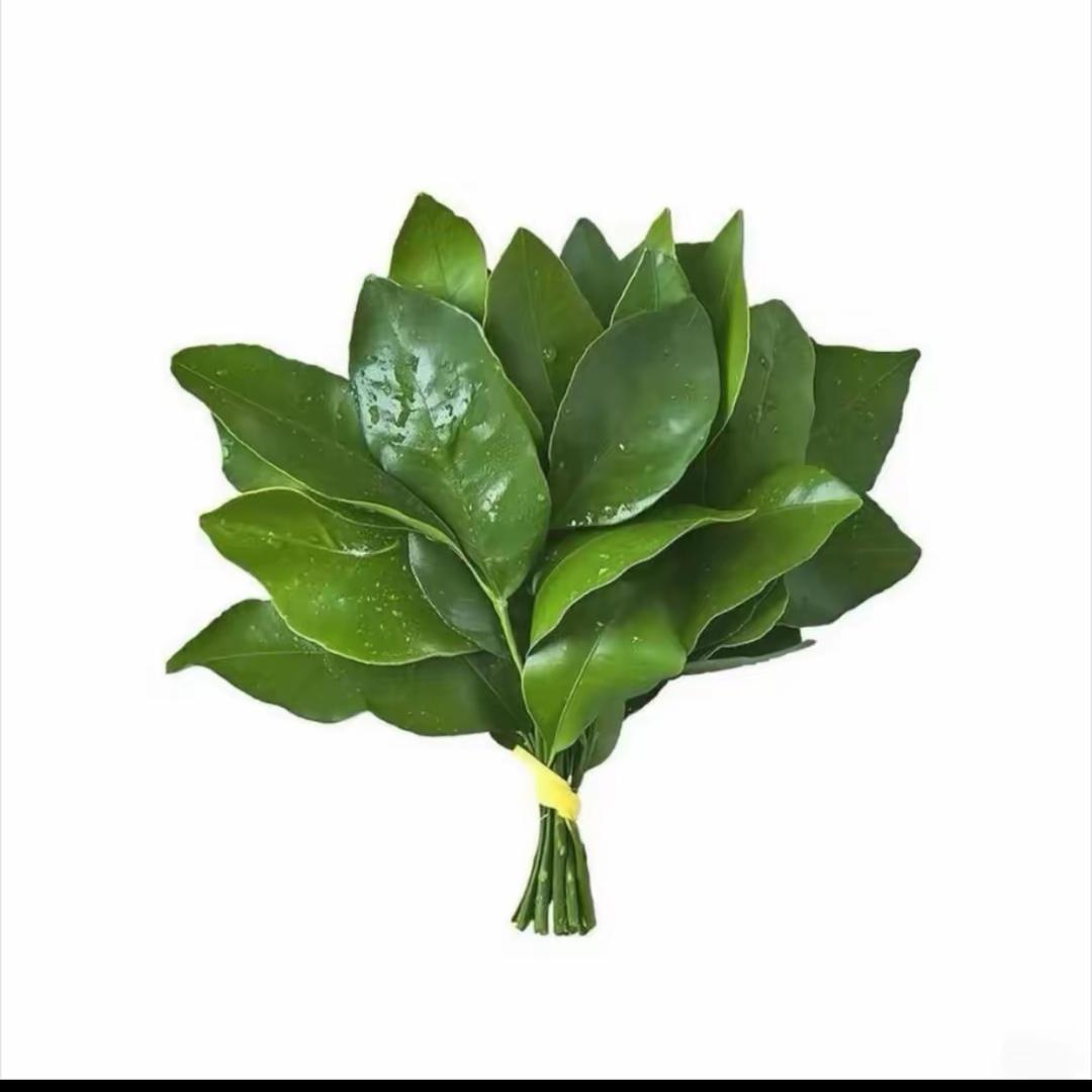 我睡觉的时候不困-