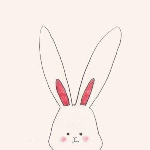 @兔子醒了🐰