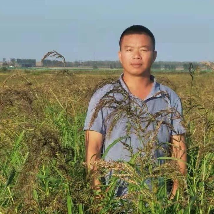 表哥 在龙江