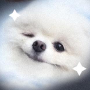 咸鱼gg