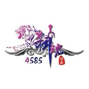 御龙在天-弑魂公会