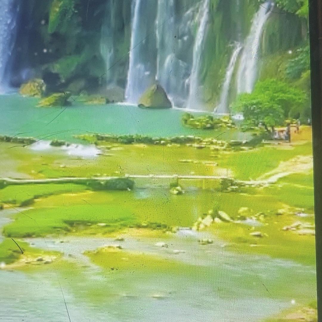 心想事成