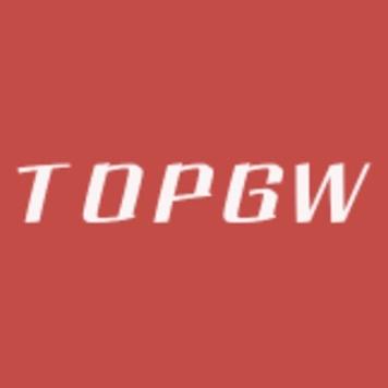 TOPGW服饰店
