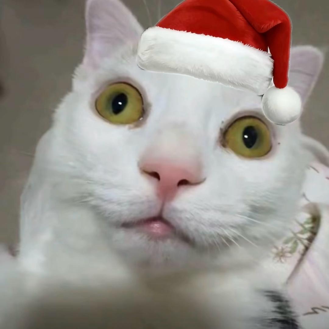 O人o（恩师奶龙