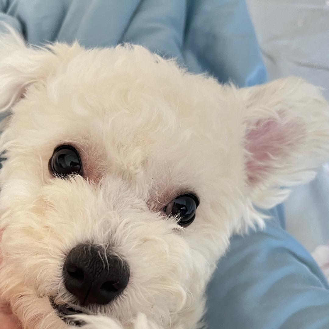 是粥粥啊_