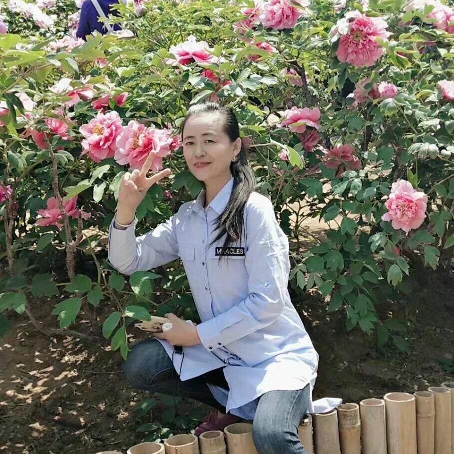 东北英姐15099
