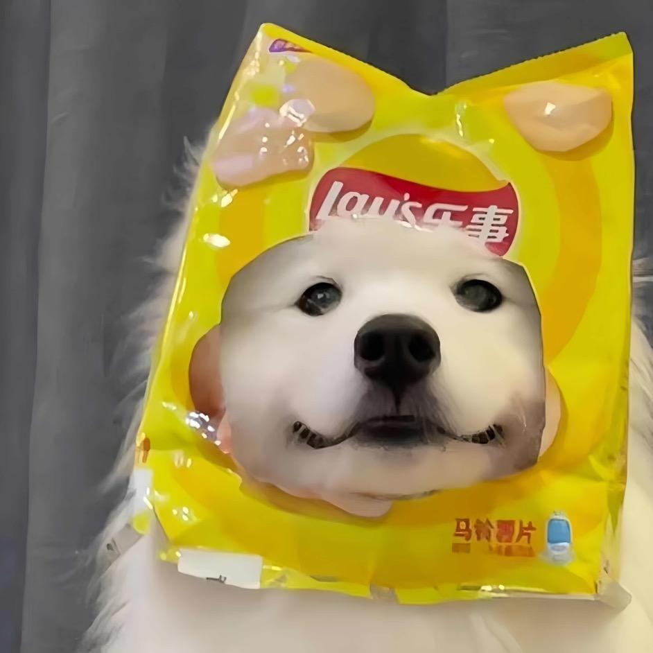 ·Q·头像