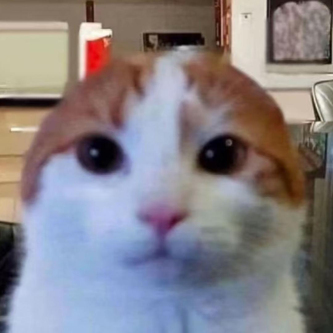 一只轻松的熊