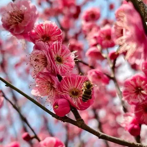 易视界视光中心