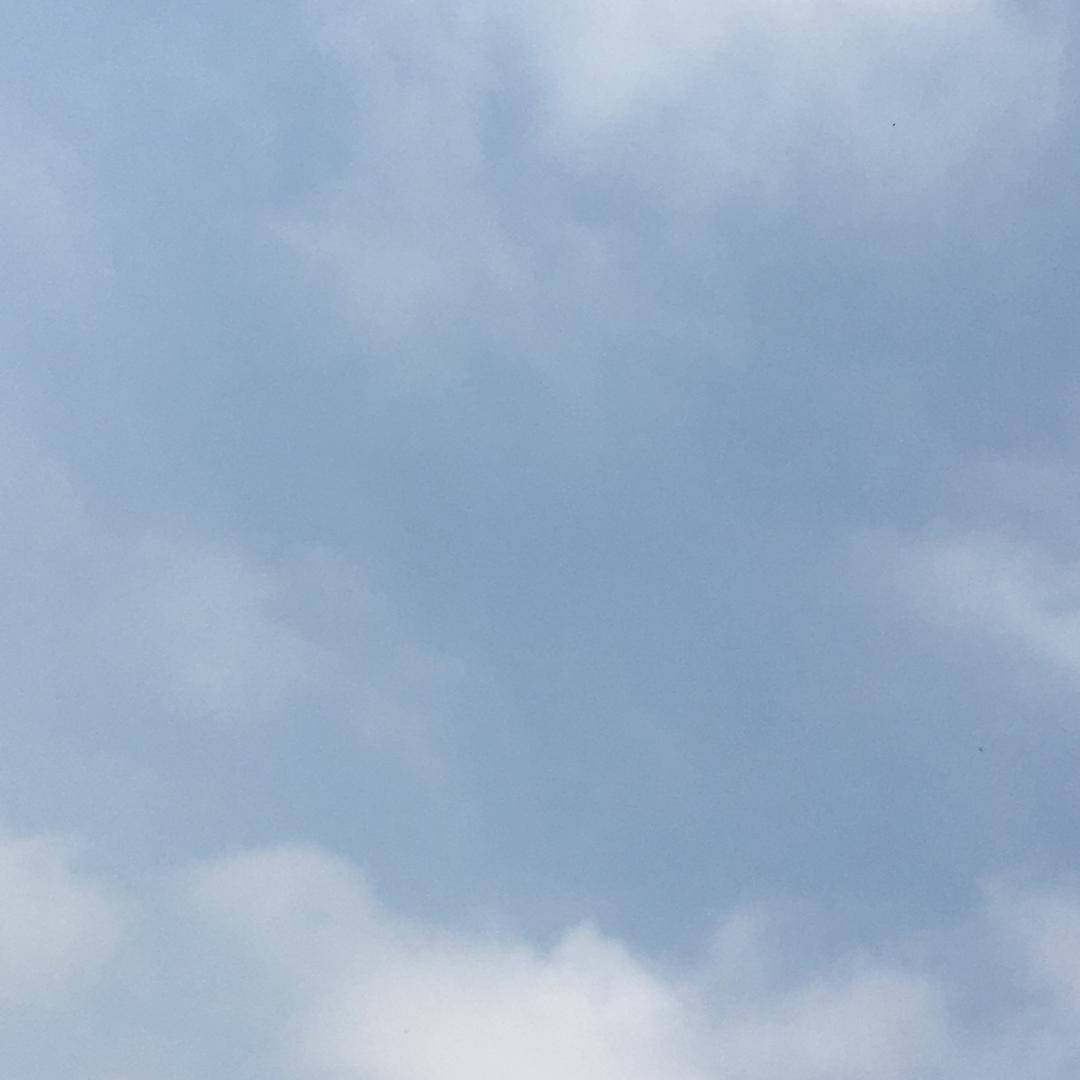 狼哥
