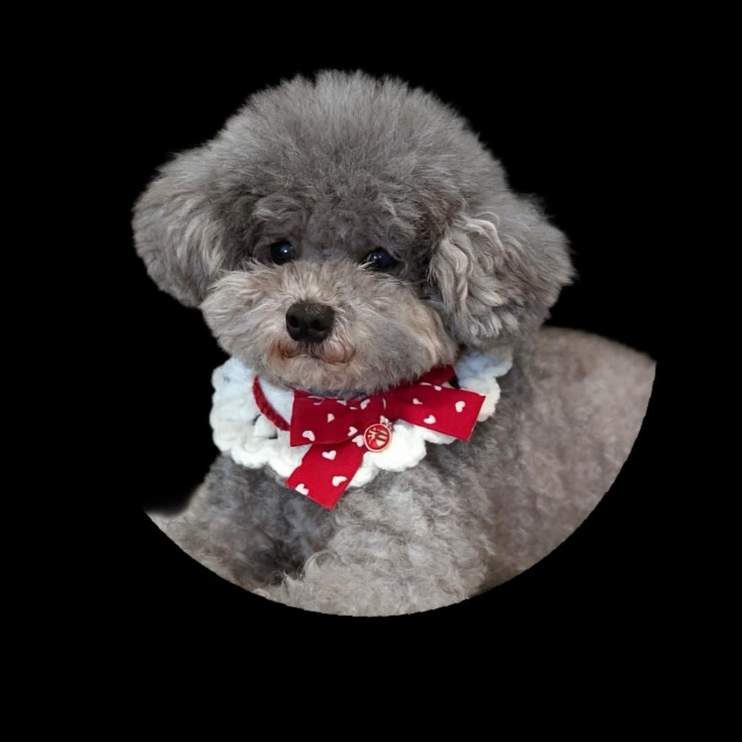 𒀱珍惜所鼠𒀱