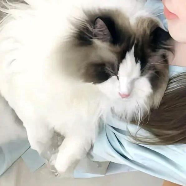 麻辣鸭头