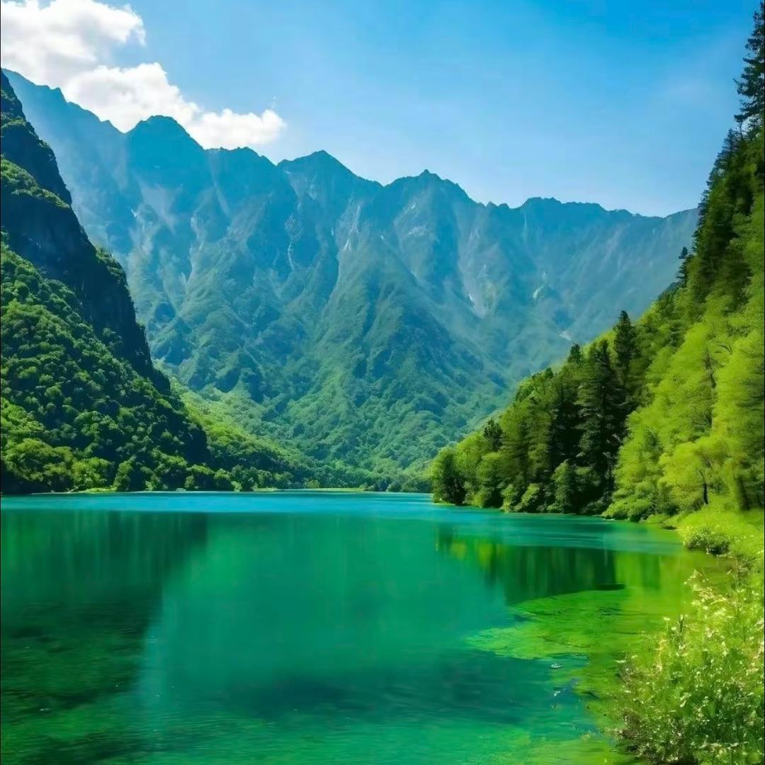 桃子过敏却喜欢桃子