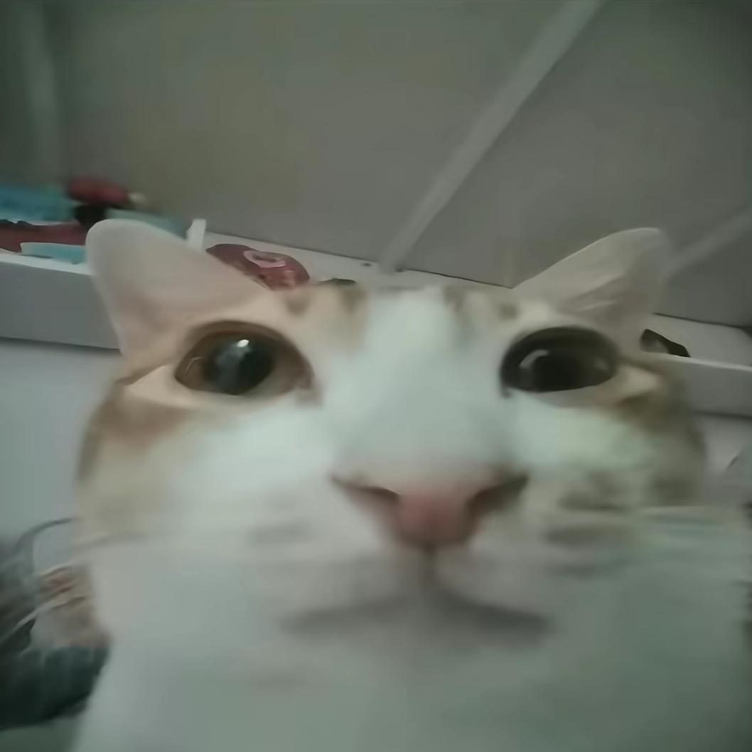休恋逝水