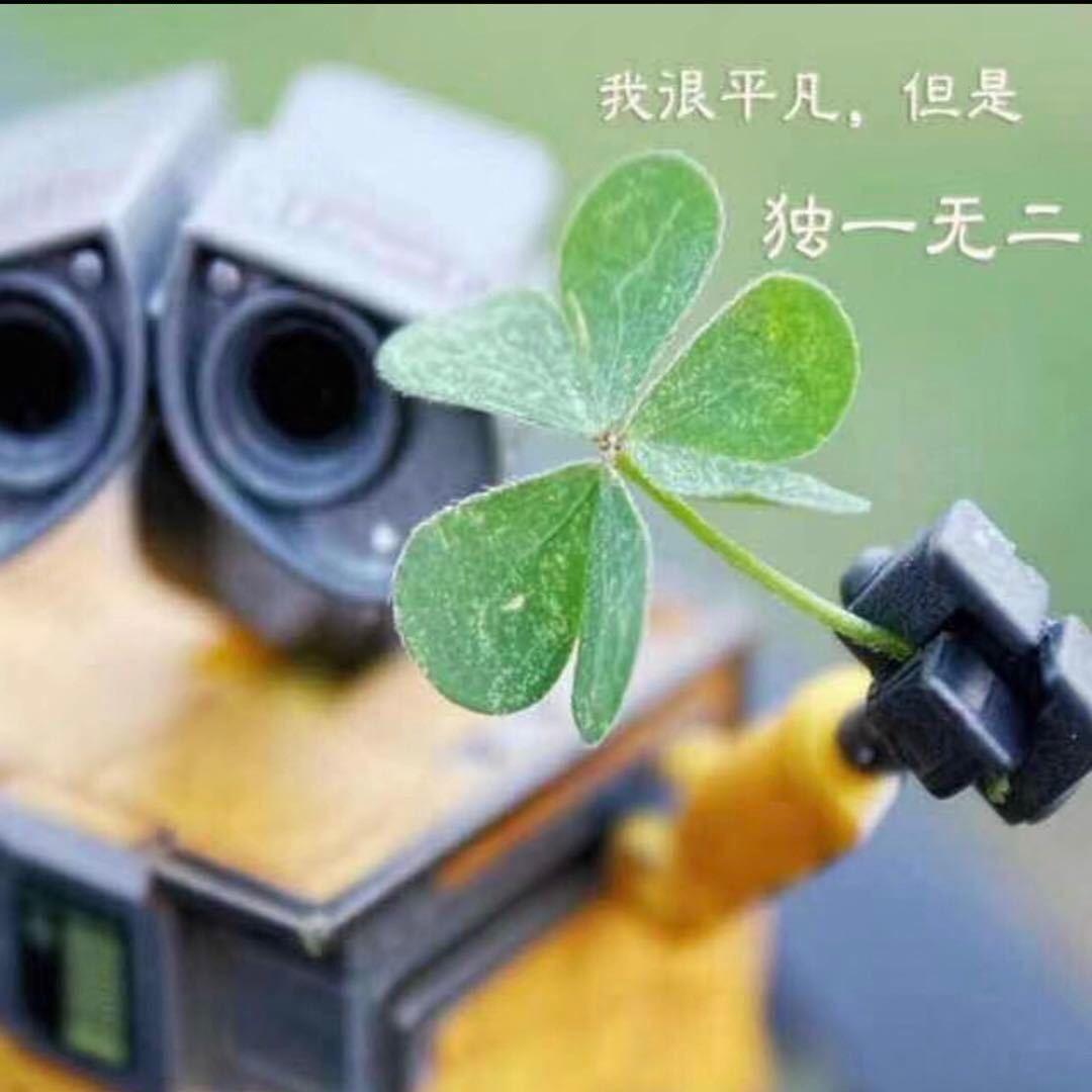 🔥🚬、归🚬零🚬🔥