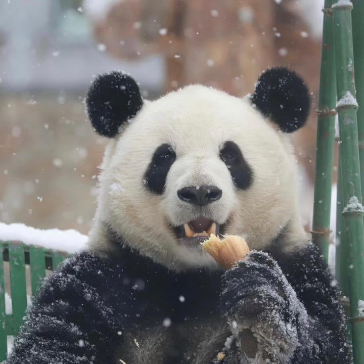 杜杜猫苑