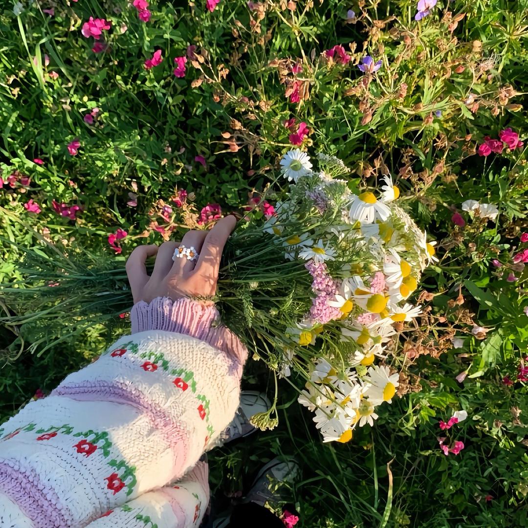 凉秋暮晚
